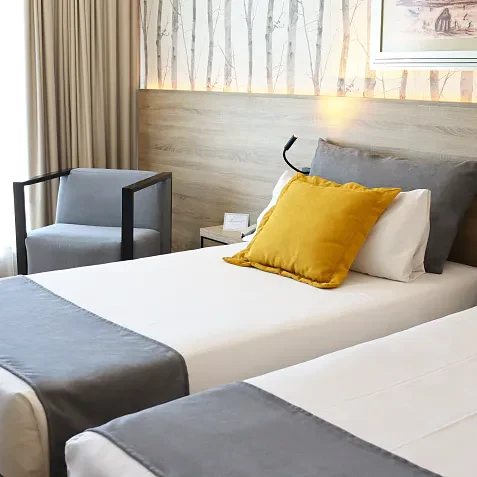 Superior room with terrace