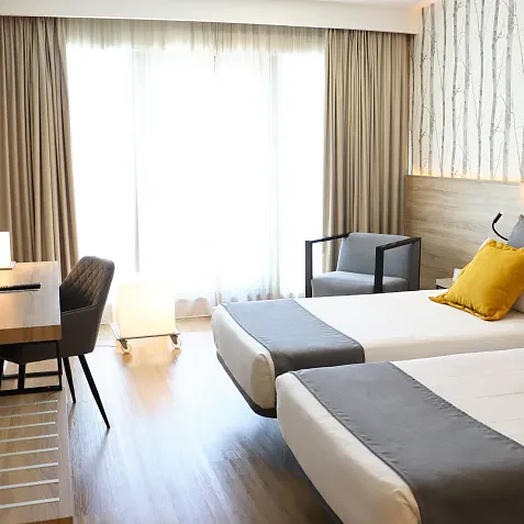 Superior room with terrace